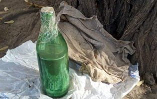 Сім’я на Волині отруїлася невідомим напоєм, знайденим у лісі (відео)