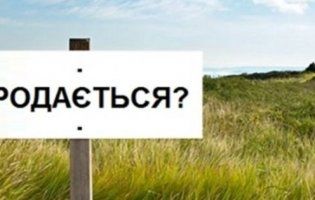 Продаж землі іноземцям: коли буде референдум