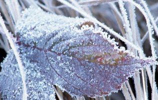 Завтра в Україні можливі заморозки до - 12 градусів