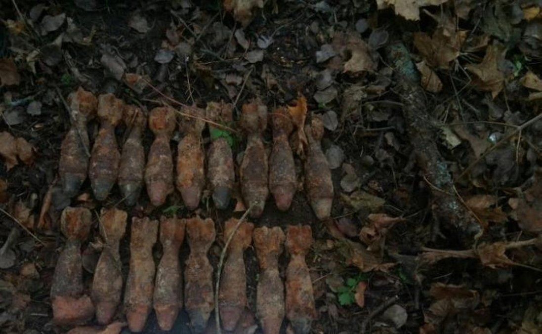 На Волині «чорні» археологи знайшли 17 боєприпасів