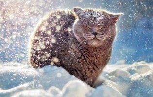 Коли в Україні чекати морозів, скільки триватиме зима та яким буде Новий рік-2020