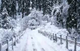 Зима прийшла за календарем: 3 грудня в Україні – сніг і мороз