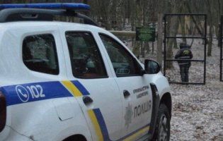 Розстріляні лані під Луцьком: поліція завела кримінал