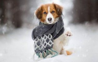 6 грудня в Україні прогнозують ожеледицю