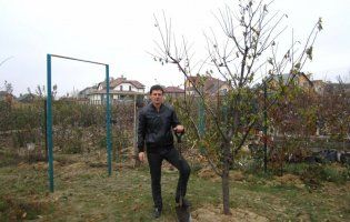 Старі дерева: як правильно видалити з саду і що слід зробити після цього