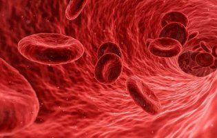 Якими продуктами можна підвищити рівень гемоглобіну