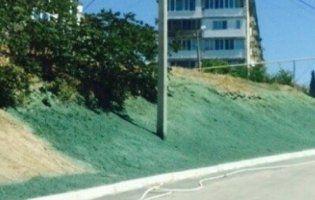 Замість газону: в окупованому Криму помалювали землю в зелений колір (відео)