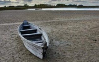 Не тільки Світязь міліє – Полісся перетворюється на степ (відео)