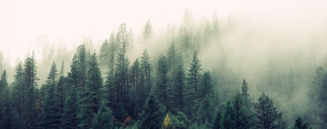 До 17 градусів тепла: погода в Україні на середу