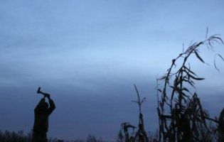 На Донбасі загинув український військовий