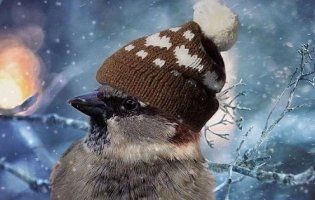 20 грудня: що відзначають і чого не можна робити