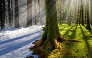 Українці стривожені різкою зміною клімату