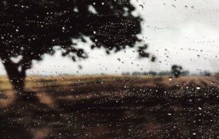 Погода в Україні: дощі та мокрий сніг