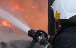 На Луганщині горів психоневрологічний інтернат: є загиблі, поранені та зниклі