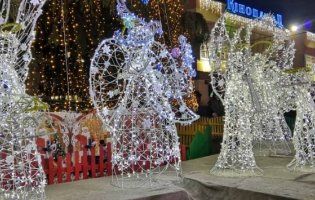 У центрі Луцька засвітили різдвяних янголів: як це було (фото)
