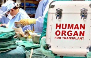 В Україні оприлюднили ціни на пересадку органів