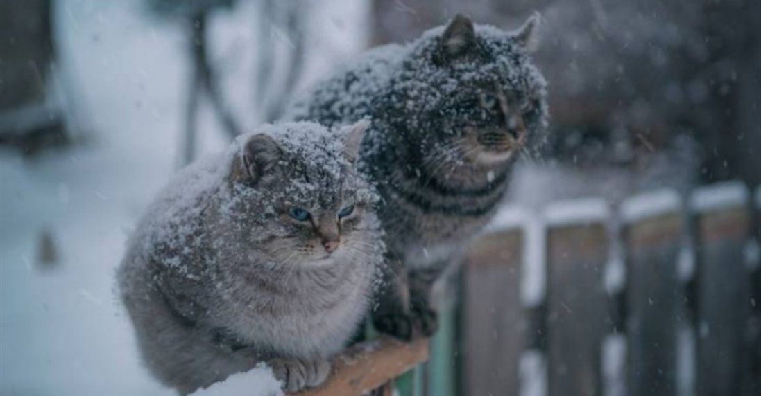 Якою буде погода в Україні 2 січня