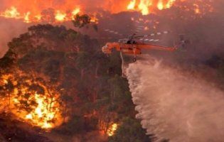 Смертоносні пожежі в Австралії: загинуло півмільярда тварин та кілька десятків людей (жахливі фото)
