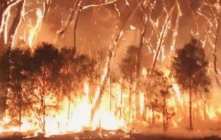 Масштабна пожежа в Австралії: хто винен