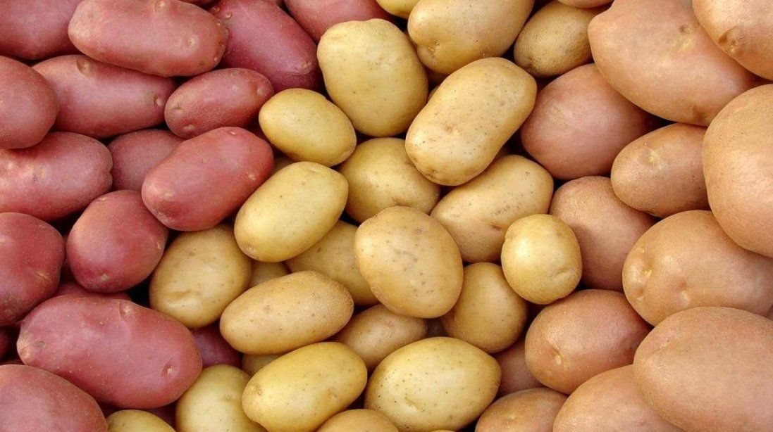 Наскільки в Україні подорожчала картопля за минулий рік