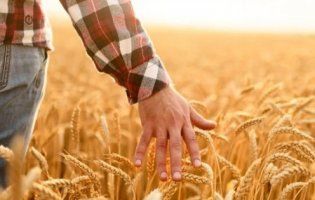 26 мільйонів євро для України: ЄС підтримає сільське господарство і фермерів
