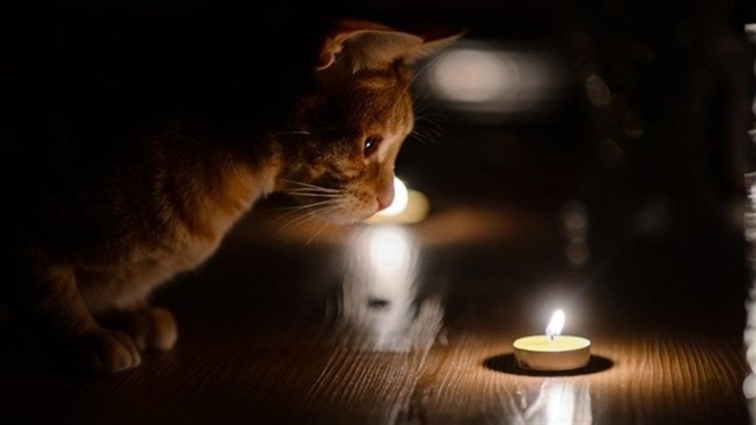 Де на Волині завтра не буде світла