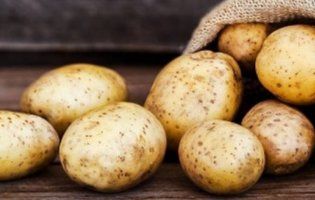 Чому в Україні різко подешевшала картопля