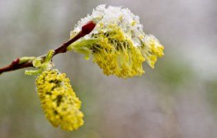 Коли в Україну прийде справжня весна