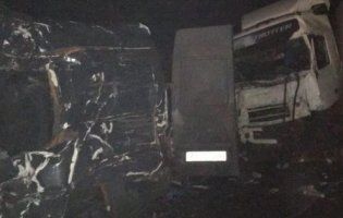 У Росії в аварію потрапив бус із українцями: вісім загиблих (фото)