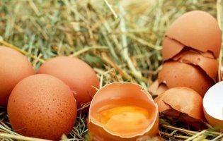 «Ситника – геть»: у Києві аграрії подарували яйця директору НАБУ (відео)