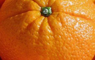 В українські магазини завезли апельсини з хробаками (фото)