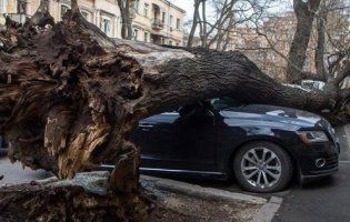 Затоплені траси, повалені дерева, зірвані дахи – в Одесі розгулялася негода (відео)