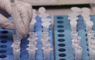 При якій температурі повітря найшвидше поширюється коронавірус