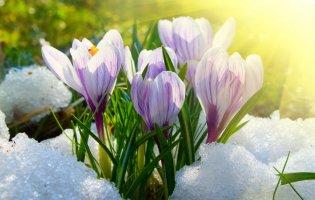 Холодно і вітряно – прогноз погоди в Україні на сьогодні