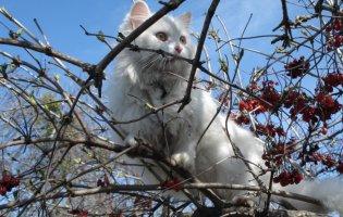 Сьогодні в Україні – без опадів і холодно