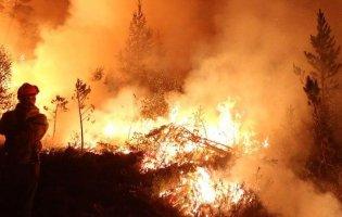 У Луцьку біля новобудови спалахнула пожежа