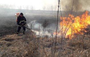 На Волині за добу – 20 пожеж в екосистемах