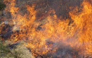 На Волині під час паління сухої трави загинув чоловік