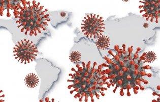 Офіційно: в Україні – 804 випадки коронавірусу, на Волині – 10
