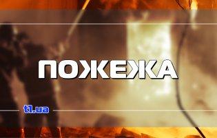 На Волині горіло понад два гектари торфовища