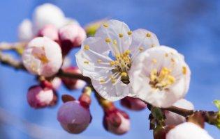 3 квітня: іменини, прикмети, заборони