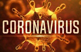 Чому на Миколаївщині — ні одного офіційного випадку коронавірусу
