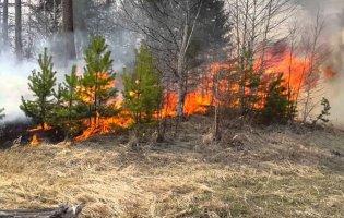 До зими через пожежі може вигоріти вся Україна