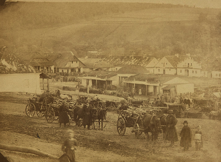 Панорама на Поділлі, 1870-ті.
