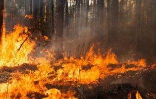 Пожежа у Чорнобилі: ДСНС відправила ще 50 рятувальників