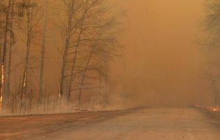 У Чорнобилі загасили одне з великих вогнищ загоряння