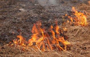 Українців за спалювання сухої трави можуть оштрафувати на 61 тисячу