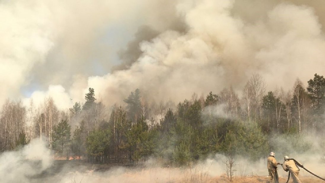 Пожежа у Чорнобильській зоні: де тліють пеньки і торф’яники