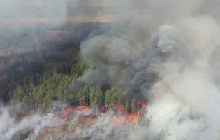 Підпали в Чорнобильській зоні: Нацгвардія проводить антидиверсійну операцію