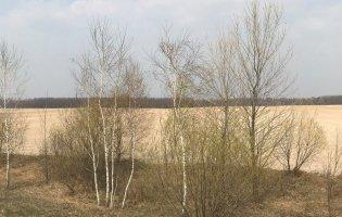Фото нової пустелі в Україні. Чому і де вона виникла?